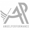 cropped-cropped-AP_Logo_transparent.png